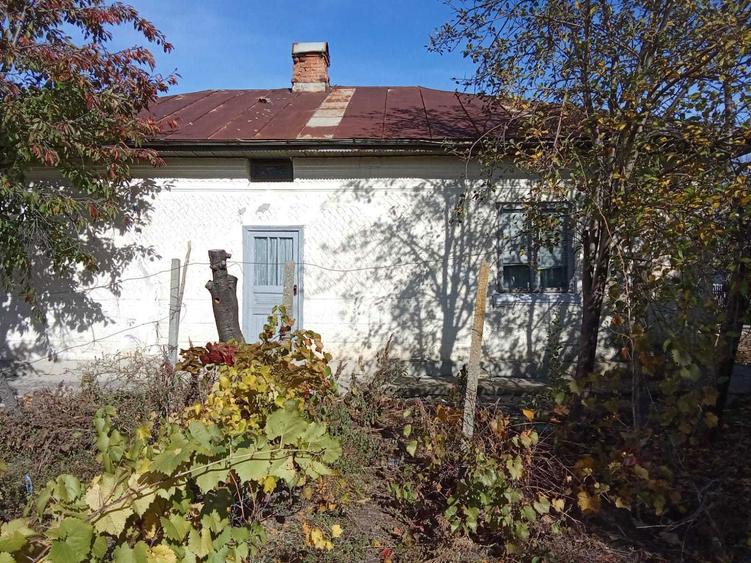 Casa cu teren de vanzare, Ciorasti, Jud. Vrancea - 2