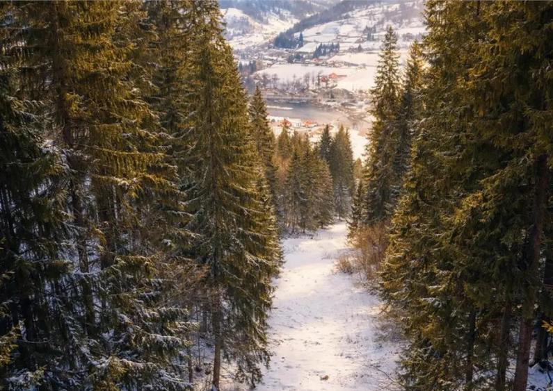 FILM!Teren 7.800mp,fosta partie de schi,investitie turistica - 2