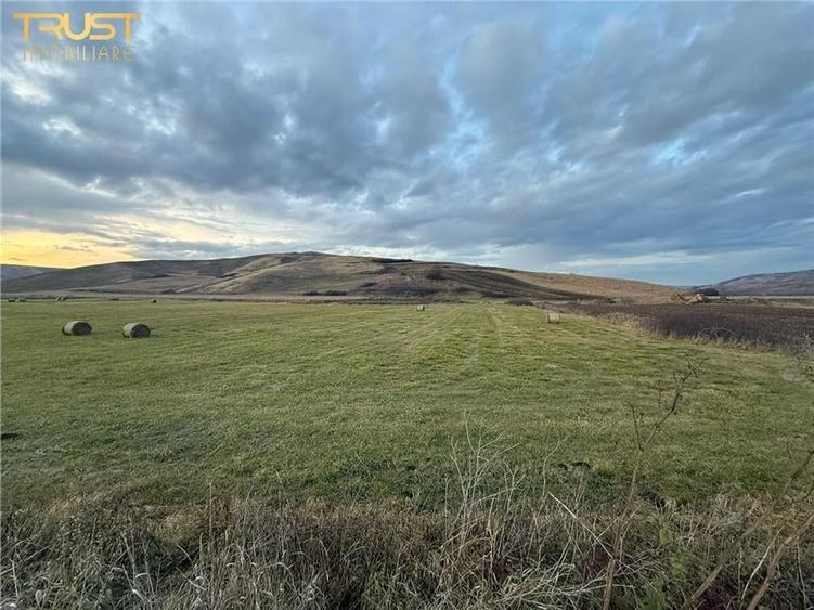 Teren Extravilan I 6000 Mp I Acces la drum | Cojocna - 8