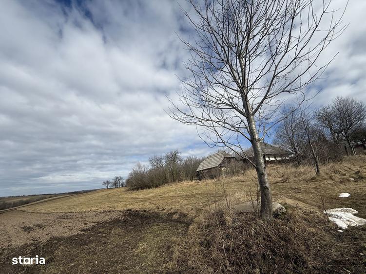 Teren intravilan | 16 ari | Horodnic de Jos zona Calugari?a - 3