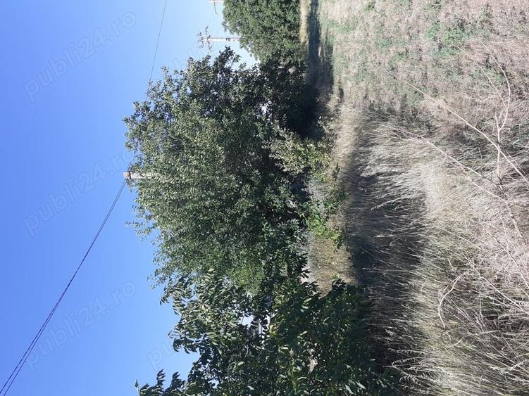 Teren de 4000 mp, în Căldărușeanca