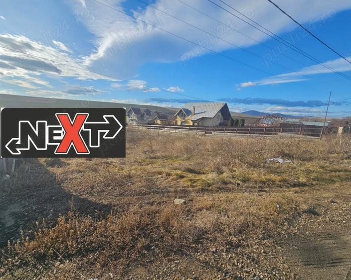 Teren Turturesti la strada principala - 2