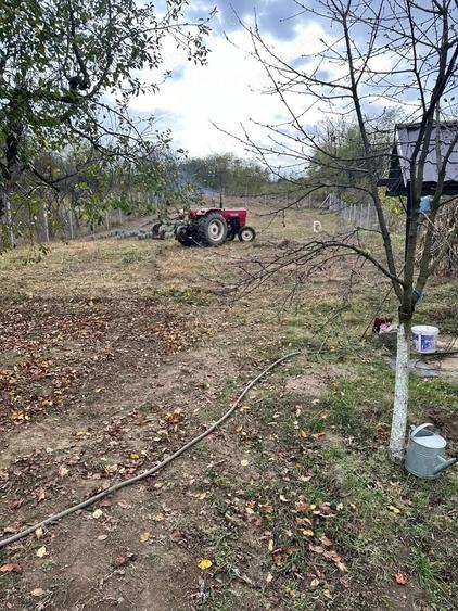 2 Case de Vanzare 200 mp + teren 3.074 mp | Prosumator 7 kW + baterie | vie, lavanda, solar | Cordun - 1