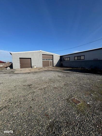 Hala de inchiriat in Vladimirescu - 2