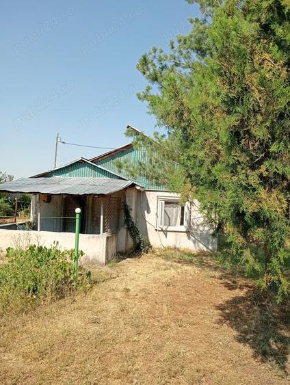 Vand casa cu 2500 mp teren - 4