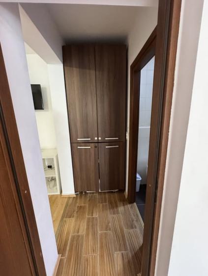 Ap 3 cam, etaj 1, Zona Malu Rosu - 9