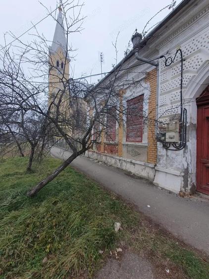 Bacova- ideala clinica, azil, pensiune, etc. - 2