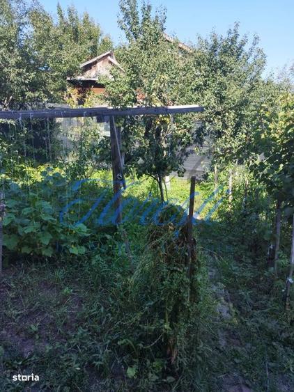 Casa individuala , cu 477 mp Dambu Rotund , Cluj - 5