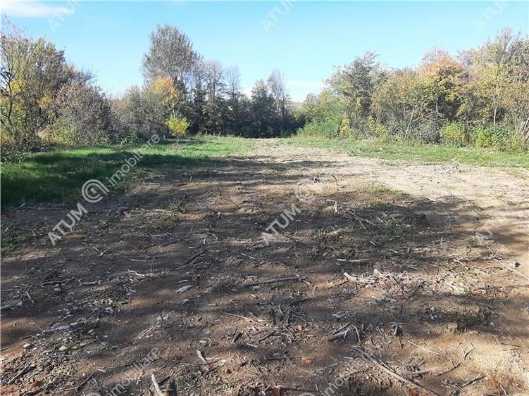 Teren intravilan de vanzare pe Valea Avrigului in suprafata de 1800 mp - 3