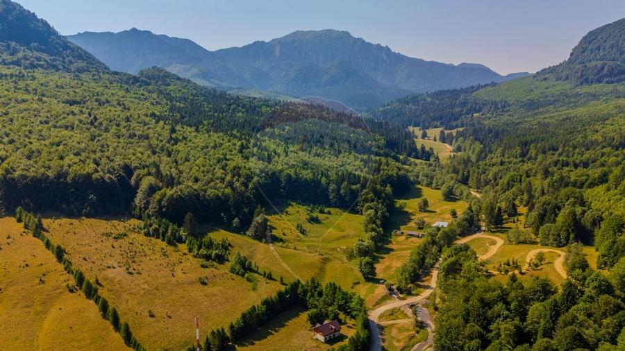 Teren 20000 mp, sat Dalghiu, com Vama Buzaului - 9