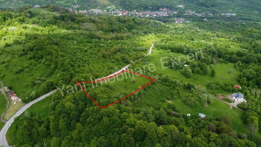 Teren de vanzare in comuna Corbi, jude? Arge?. - 9