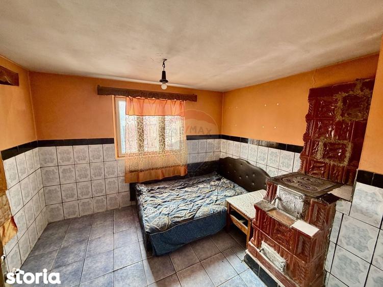 Casa cu 4 camere si teren 7727 mp Blidari - 20