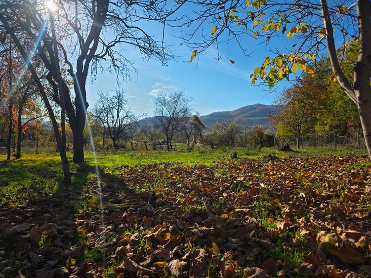 Teren intravilan in Buzau, sat Tega, 3300 mp - 4