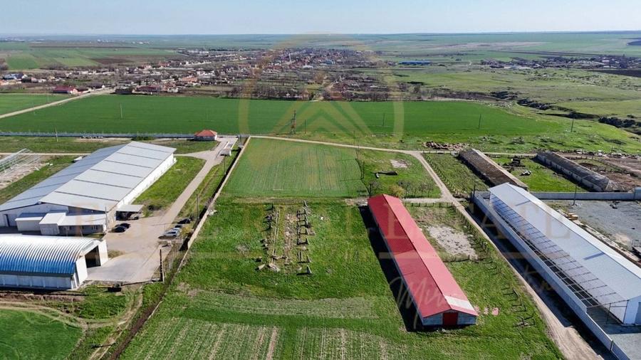 Tariverde - Ferma zootehnica functionala, 3 hectare teren intravilan! - 3