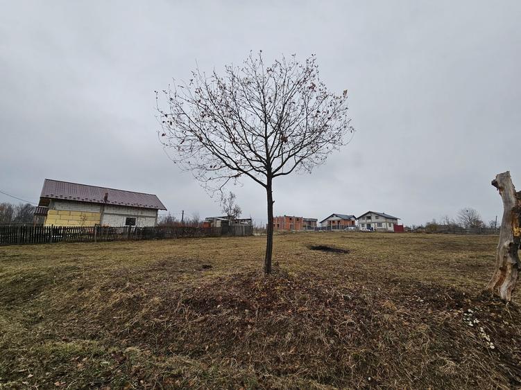 Vand teren intravilan - 3