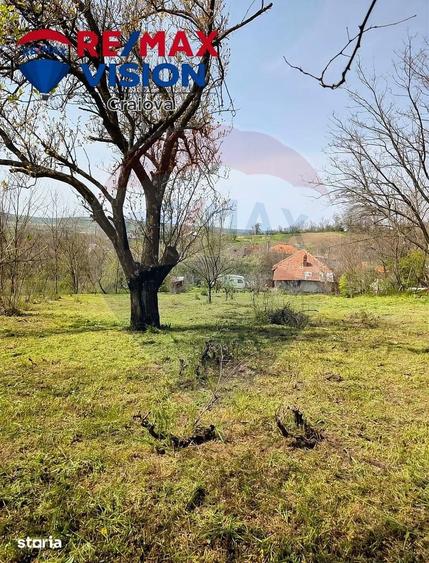 Teren 1,500mp Milesti / Aleea Aleea Preot Ion Vitan - 7