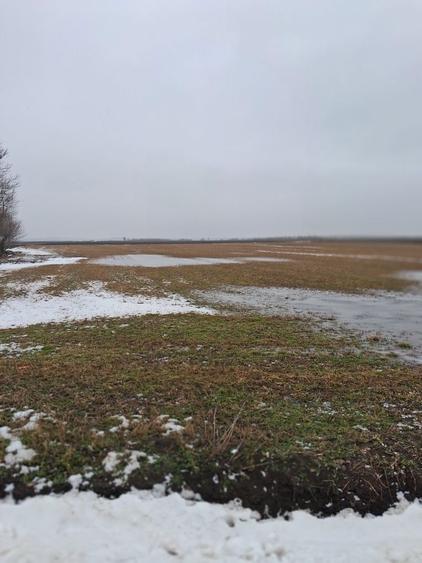 Vand loc de casa in Zvoristea 36 ari - 7