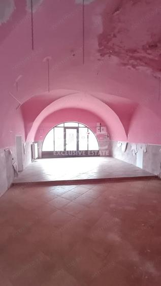 Spatii de inchiriat/ 40-60mp/ Ultra Central/ Calara?ilor - 8