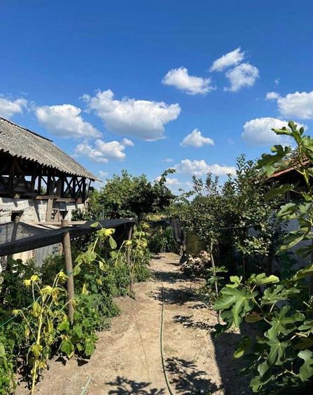Vand casa p+1 Prundeni,Dragasani ,Valcea-La strada principala peste drum de primaria Prundeni - 3