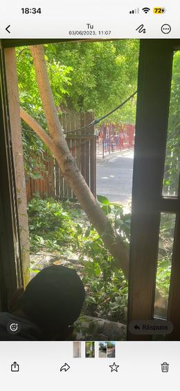 Casă de vânzare , fost restaurant Casa Vinului, cu suprafață utilă 193mp.  - 6