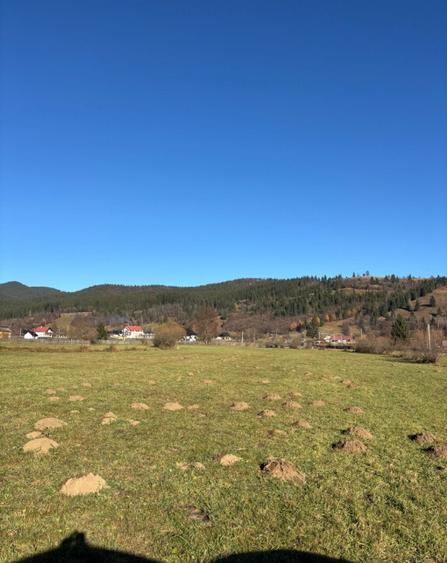 Teren intravilan - 3