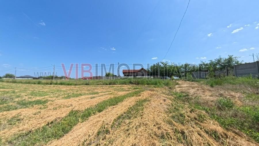 Racari - Teren - 13659 mp - intravilan - constructii - 3