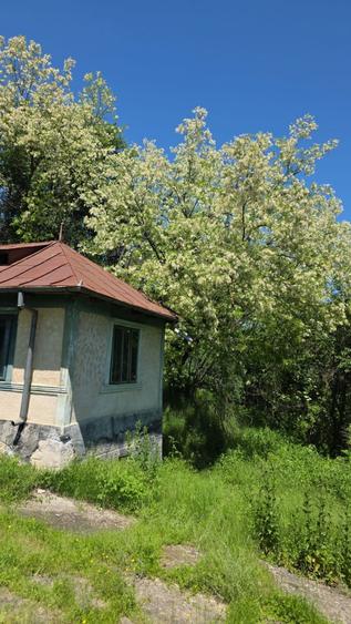 Casa de vanzare zona de munte in jud prahova - 6