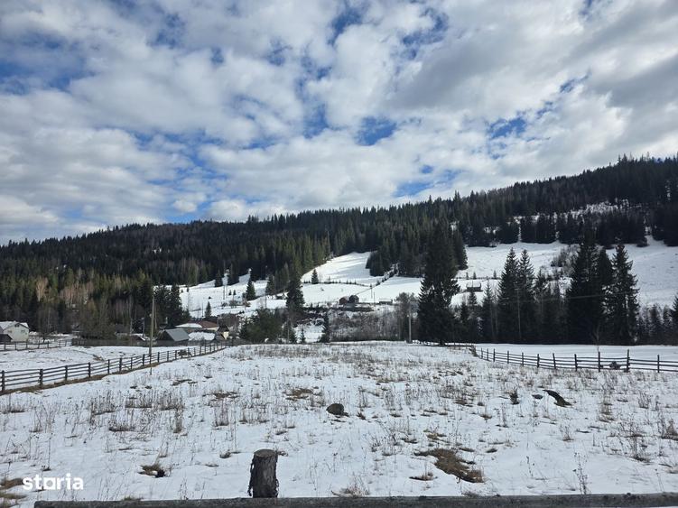 Teren intravilan 15.000 mp (1,5 ha) langa Parcul Calimani - 6