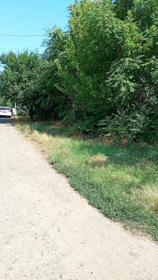 Casa demolabila cu teren 2500 mp sat Plevna com Lup?anu Calara?i apa curent 12000 Euro variante - 1