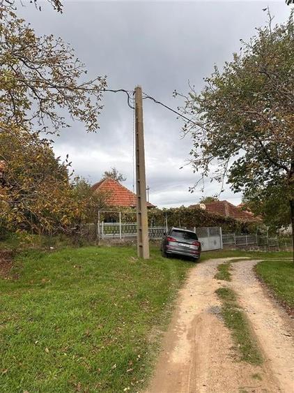 TEREN | 9341 MP | BALNACA GROSI | BIHOR - 3