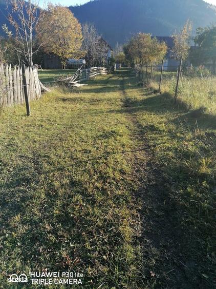 Teren 3.200 mp Sadova Piraul Morii - 11