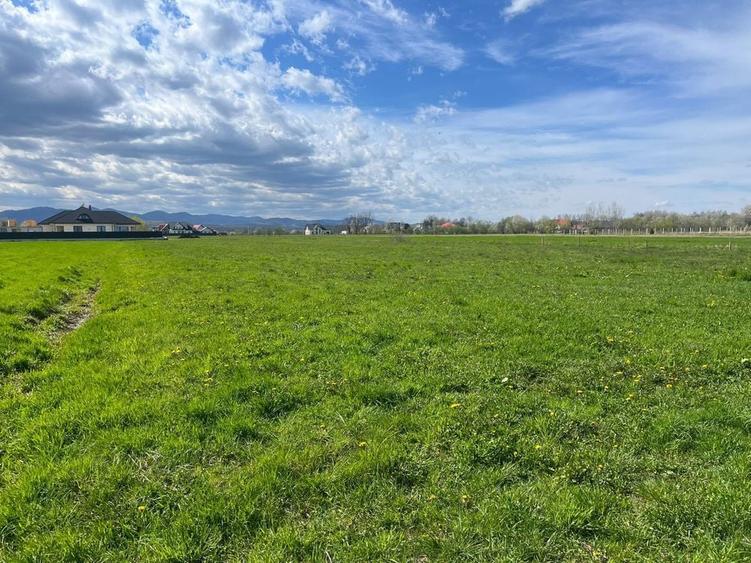 Teren Vicovu de Sus centru 36 ari intravilan - 2