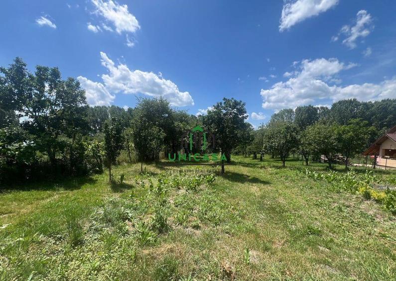 Teren Fedelesoiu/3200 mp/Intravilan - 6