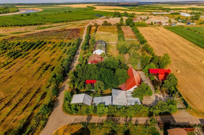 Ferma de cai andaluzi de vanzare - Zadareni - 23