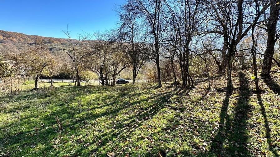 Teren 4044mp, 18 km de Campina, asfalt, utilitati, pretabil investitie - 1