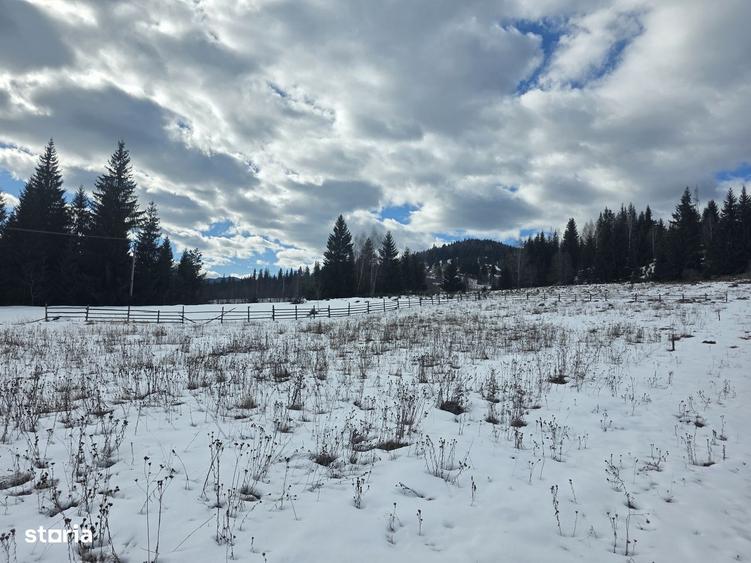Teren intravilan 15.000 mp (1,5 ha) langa Parcul Calimani - 1
