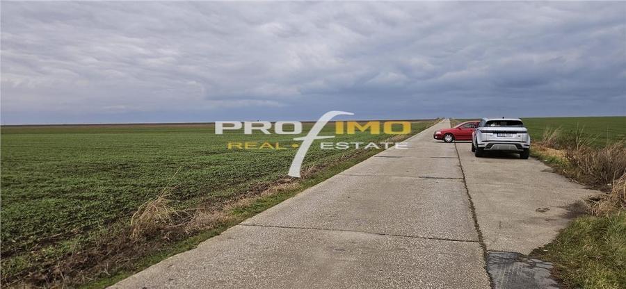 Plaja Corbu-Teren 4200mp. la numai 8 euro /mp. Soseaua asfaltata - 11