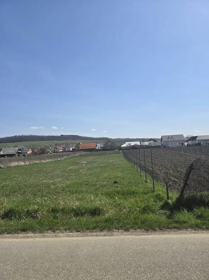 teren intravilan tibeni - 1