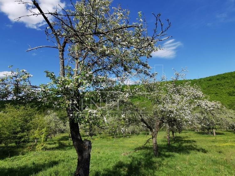 Teren de Vânzare, Budeasa Mica – Potrivit pentru Casă de Vacanță sau Investiție - 6