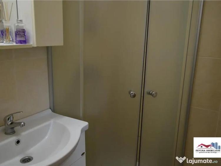 Apartament 1 Camera Mobilat si Utilat de Zona Dambu Pietros - 9