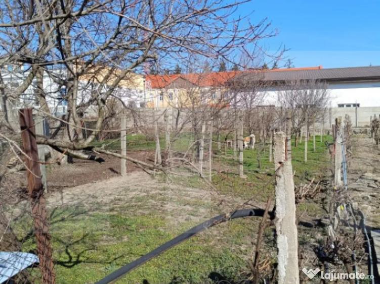 Casa individuala, 106 mp, zona Iosefin - 2