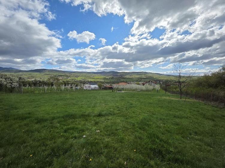 Vand teren intravilan loc.Barsau Hunedoara - 2