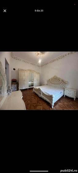 Casa de vinzare Peciu Nou - 6