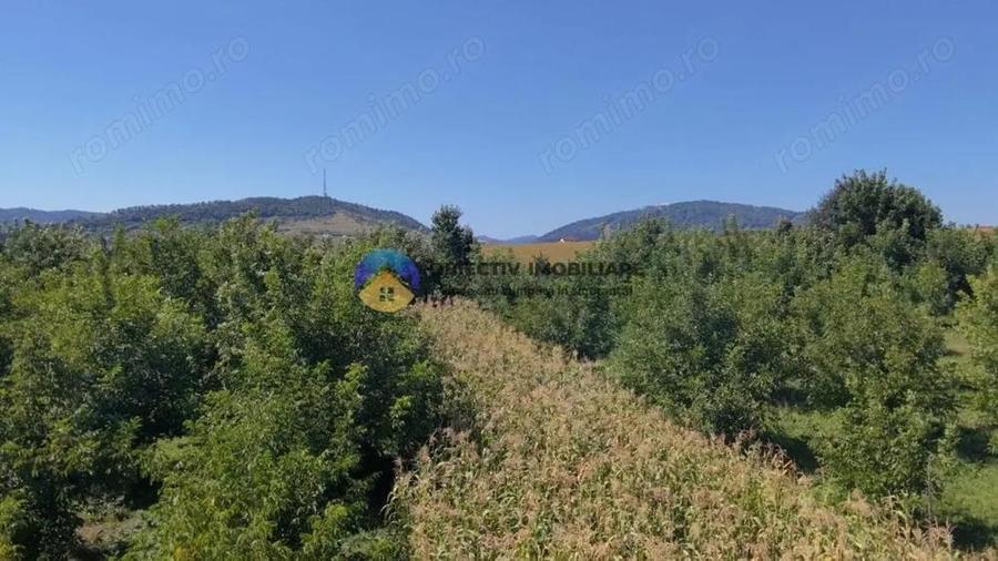 Teren de vanzare 1935 mp Piatra Neam? - Str. Plantelor - 6