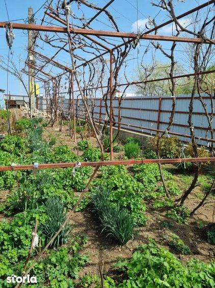 Vand Casa P+M in comuna Rachiti - 8