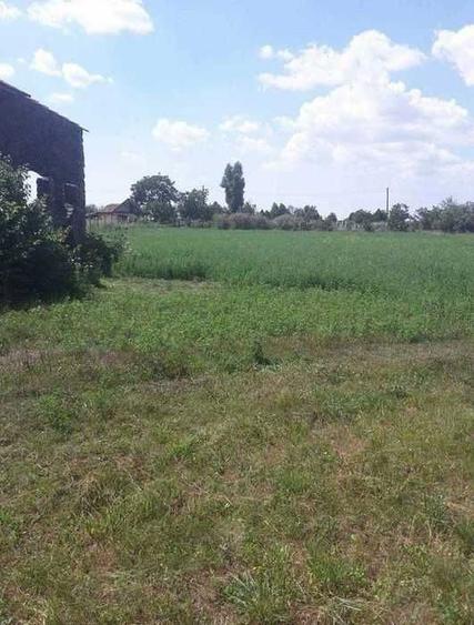 Casa de vanzare Cuvin (Arad) - 4