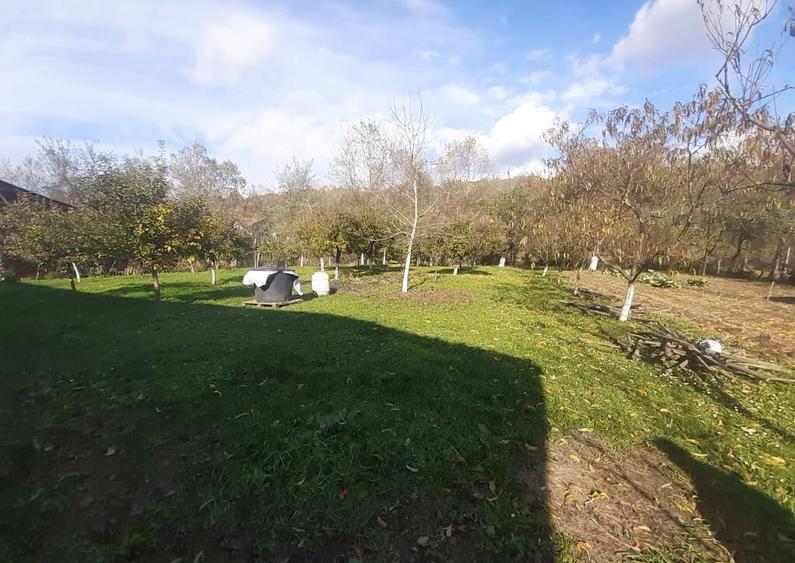 Arduzel, casa caramida - 8