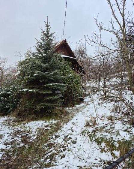 Coas, cabana, 28 ari teren - 2