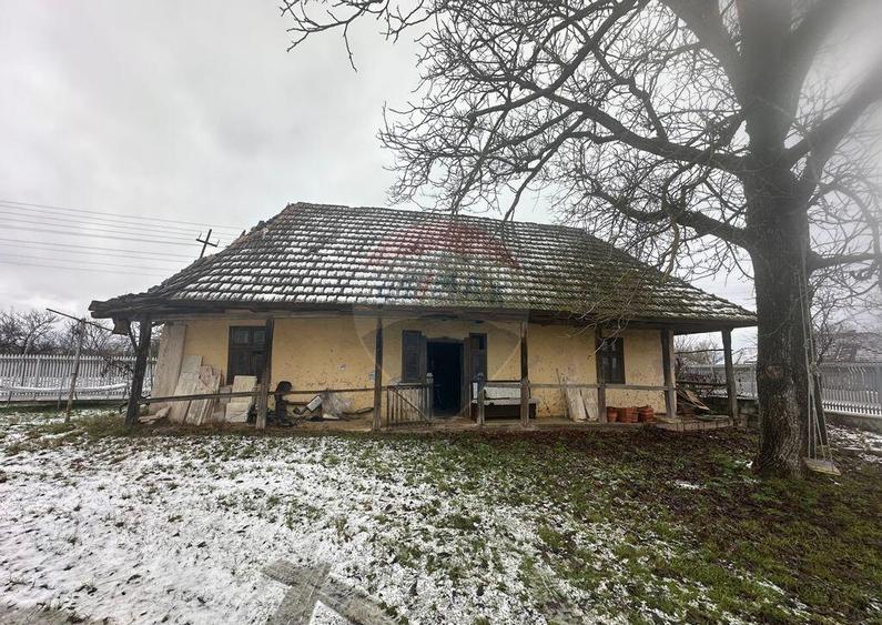 Salsig - PROPRIETATE DEOSEBITA - 7