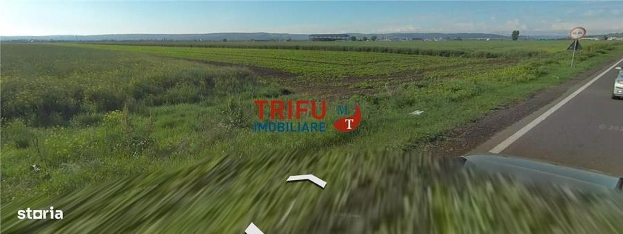 Oportunitate de Investitie in Zona Industriala Galda: Teren Extravilan - 4
